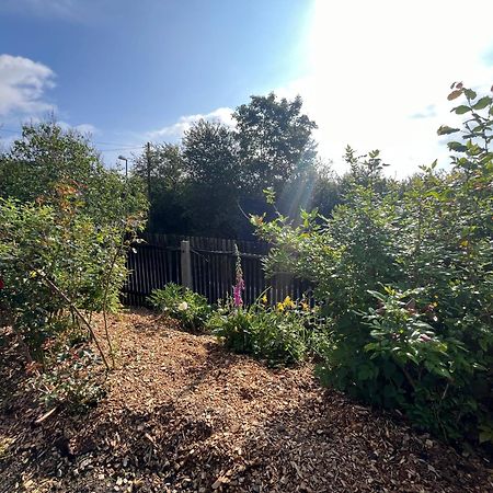 Tolles Ferienhaus Frohnatur Mit Sauna In Ruhiger Lage Plauen Zewnętrze zdjęcie